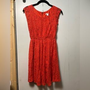 Orange Lace Dress